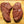 Beef Kidney