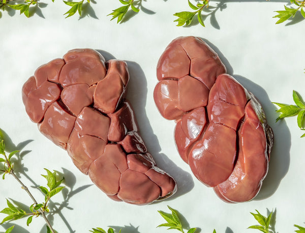 Beef Kidney