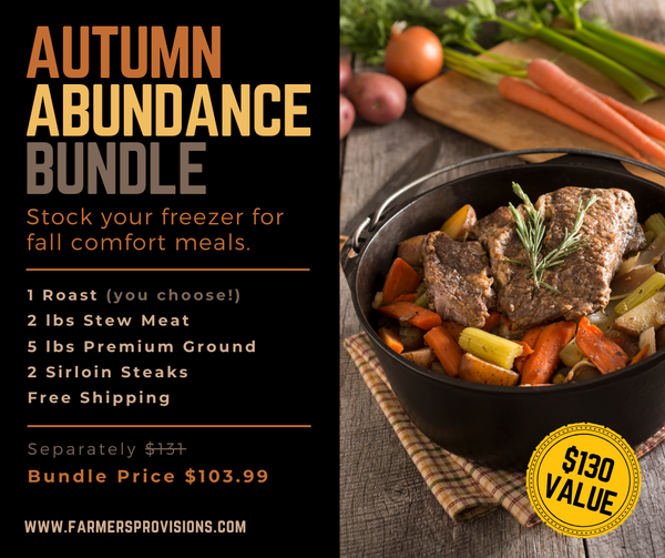 Autumn Abundance Bundle